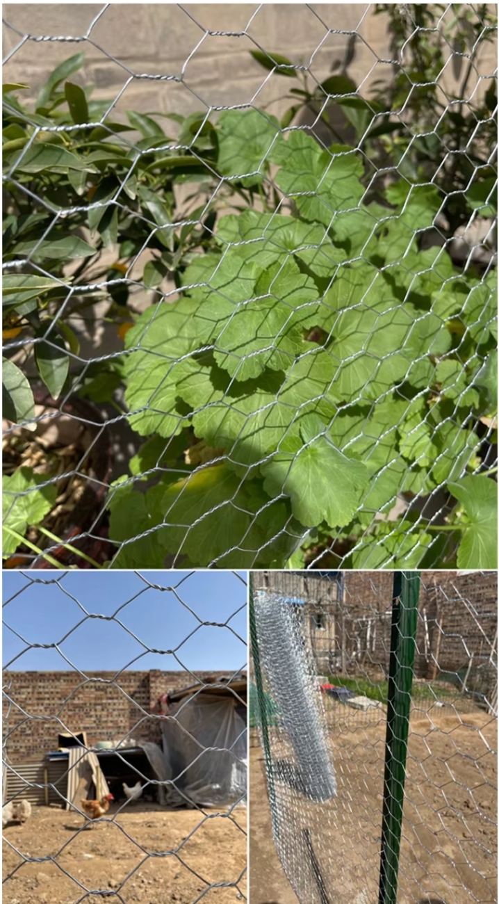 Hexagonal Wire mesh2