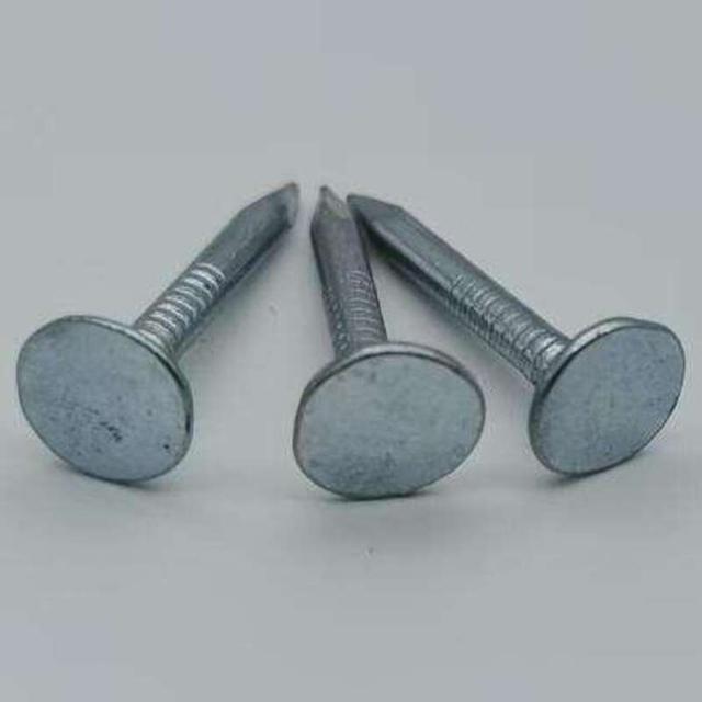 Galvanized Clout Nails Supplier for Roofing & Woodworking Projects