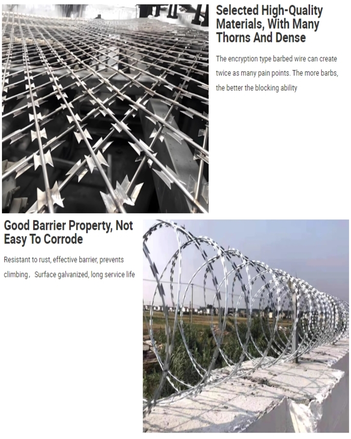 Razor Wire