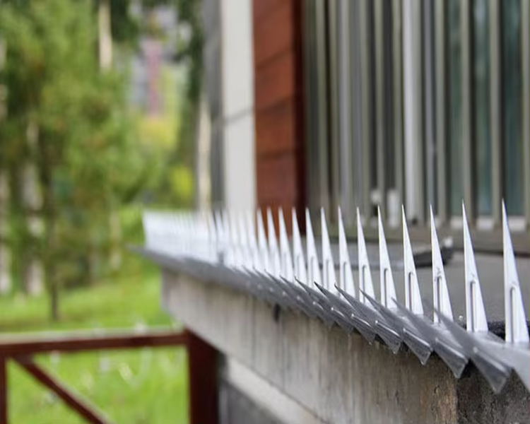 wall spikes1
