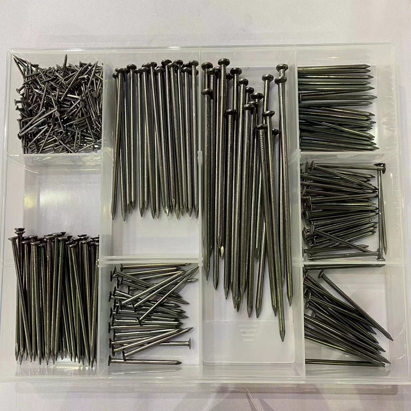 Various Sizes Common Nails2