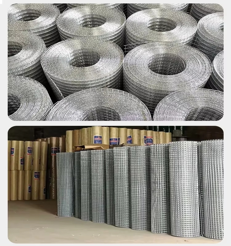 Welded Wire Mesh