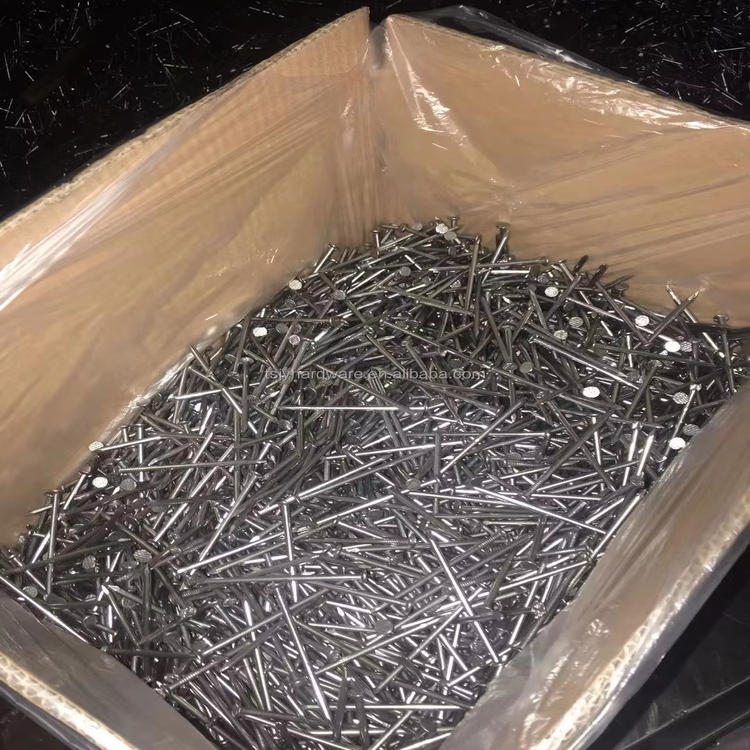 Common Round Nails 2