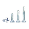Self Drilling Screws Manufacturer for Steel Structure & Roofing Applications
