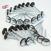 Galvanized Roofing Nails Factory for Roofing & Building Construction