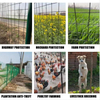 Welded Wire Mesh