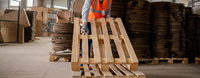 Packaging & Pallet Industry