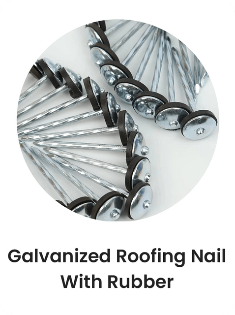 2-Galvanized Roofing Nail With Rubber