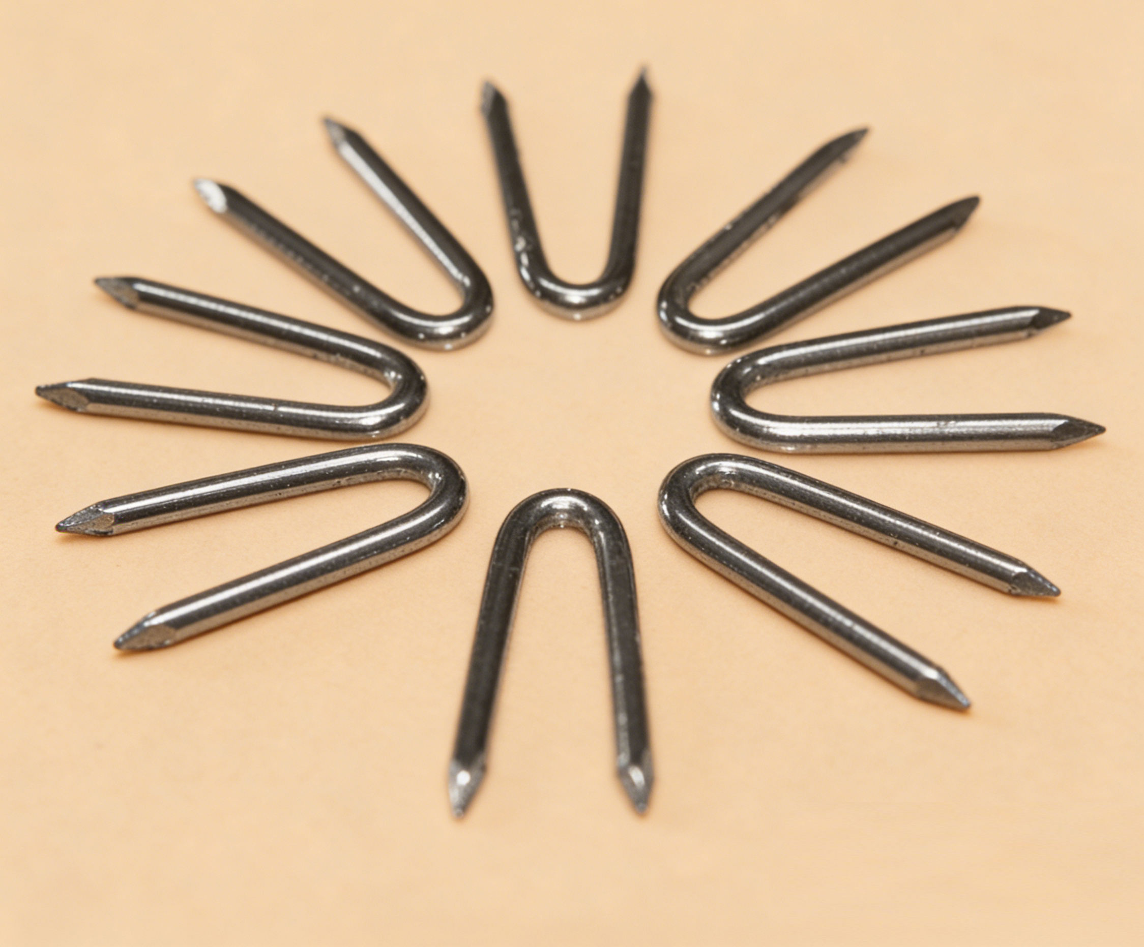 U Shape Nails.jpg
