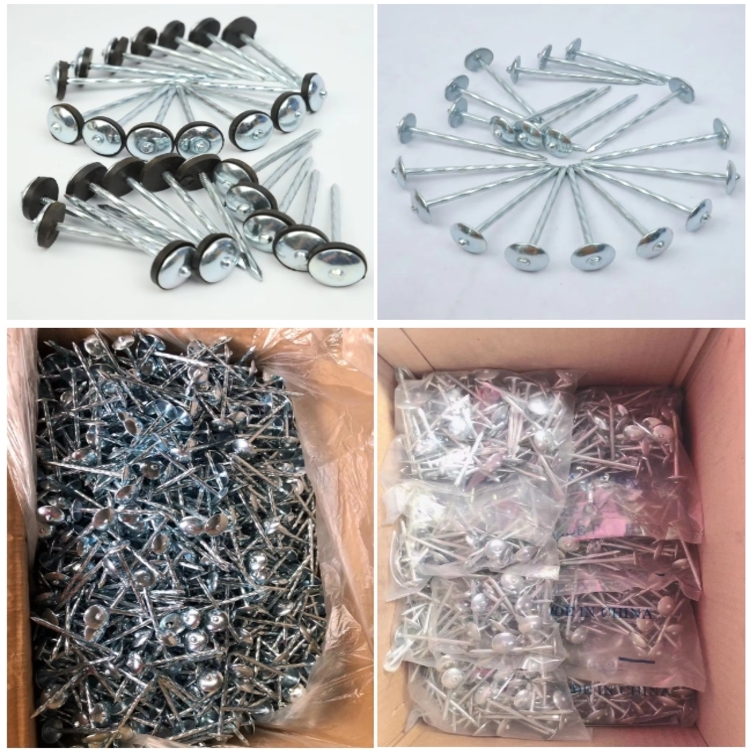 Roofing Nails 1
