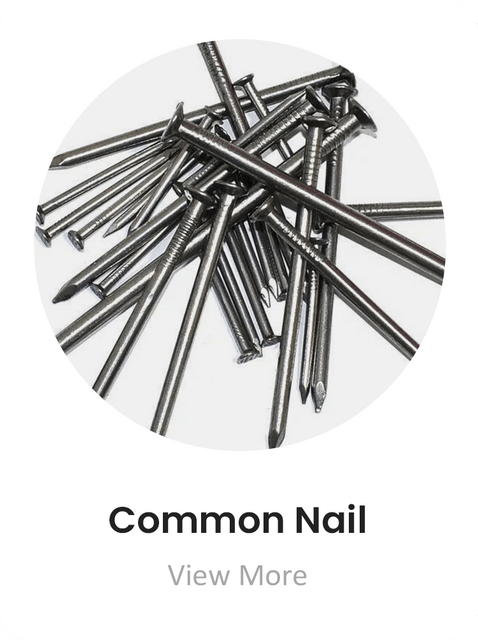 1-Common Nail