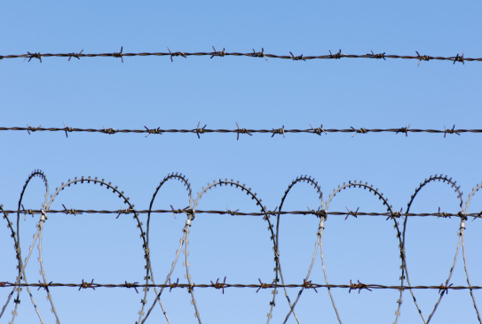 barbed wire