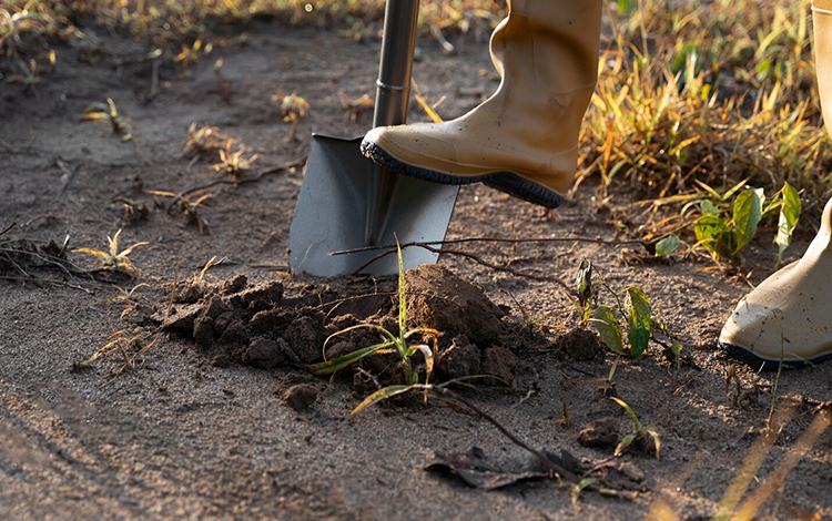 Agriculture,-Gardening-&amp;-Farming