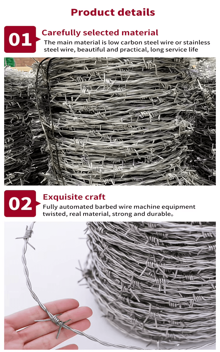 Barbed Wire4