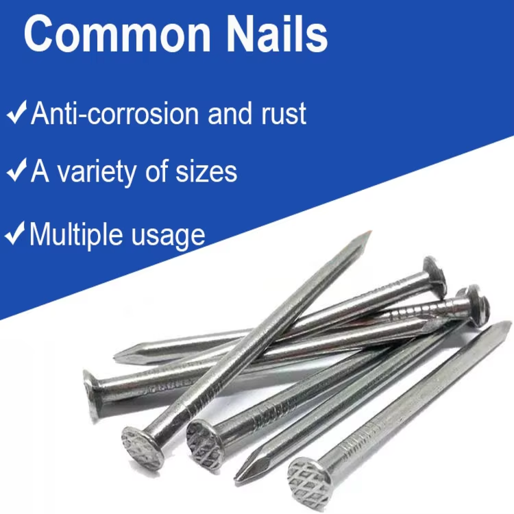 Common Round Nails 